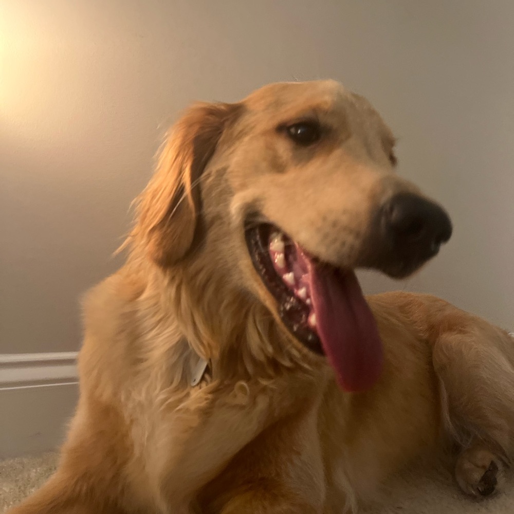 Meet your Posher, Aaliyah